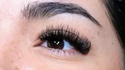 FoCo Lash