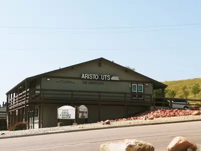 Aristocuts Salon
