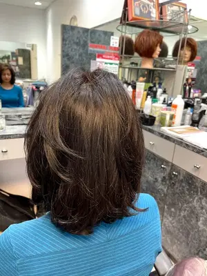 Alla Nova at Salon Collajio