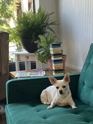 Business Photo