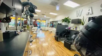 Saint Cloud /Serendipity Hair Salon & Blow Dry Bar/ Hair Color