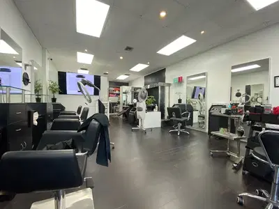 Albert Robin Salon