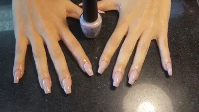 Renovation Salon By Francis