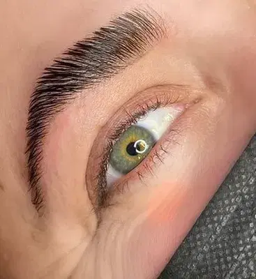 Meticuloustry - Eyelash Brow Waxing Permanent Makeup Studio St. Cloud FL