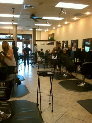 Vibe Salon Palm Harbor