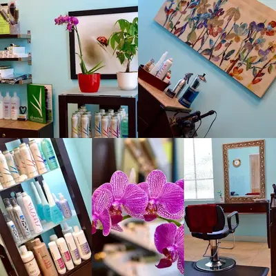 Lucyna Hecko Hair Studio