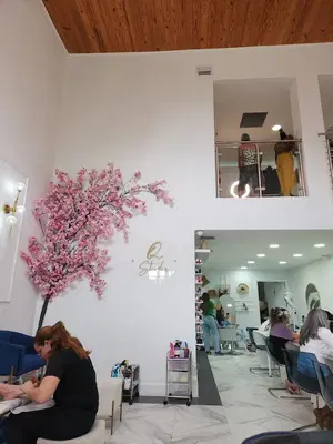 Q Studio Beauty Bar