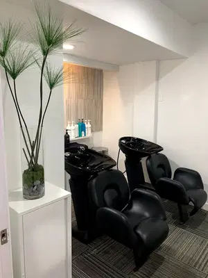 Danny Dillon Shampology Salon