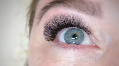 Paradise Lashes