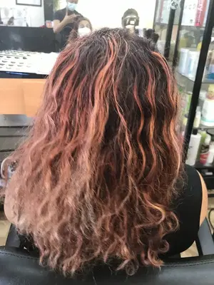 Francis Dominican Salon