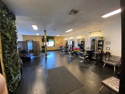 The TAJ Salon llc