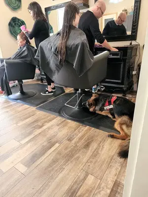 The Purple House Salon