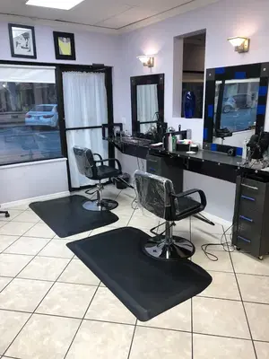 The Salon of Venice