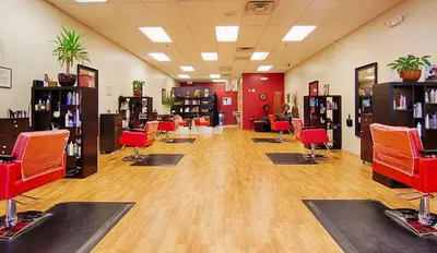 Euro Hair Studio