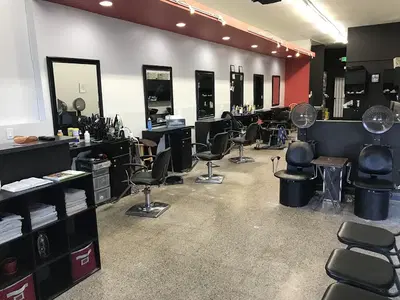 Vkutz Salontique