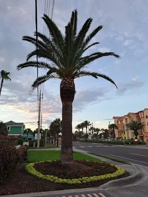 A Hair Off the Beach