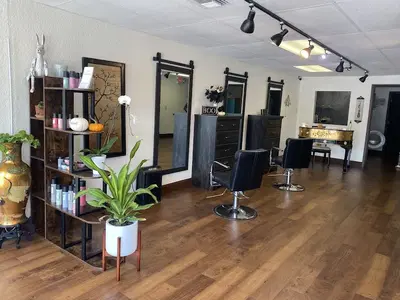 Salon VOS