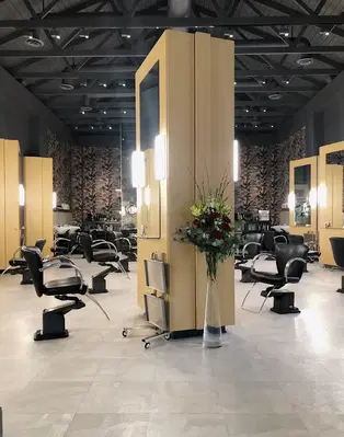 Vis-A-Vis The Salon
