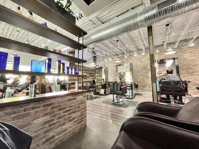 The Collective a Salon