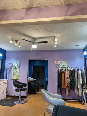 The Fancy Peacock salon