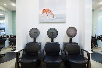 Salon Next