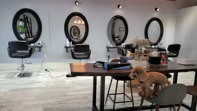 Business Photo