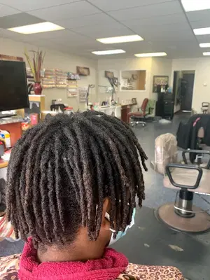 Cut-n-Up &Co.