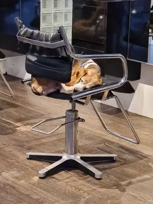 Nelson Group Salon
