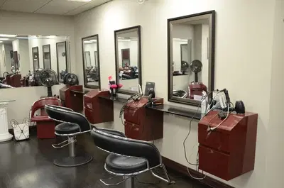 Linea Hair Salon & Day Spa, Inc.