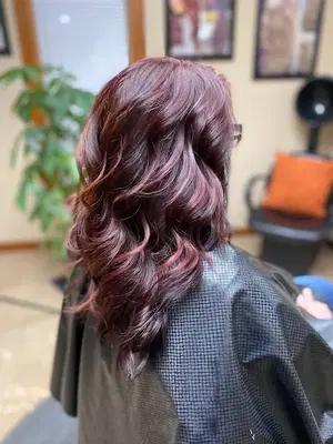 House Of Hair