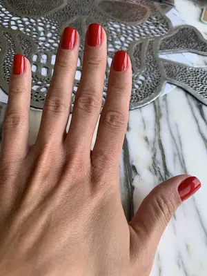 Toni G Salon & Spa
