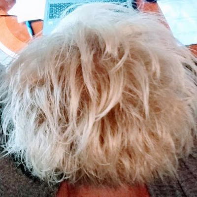 Salon 101