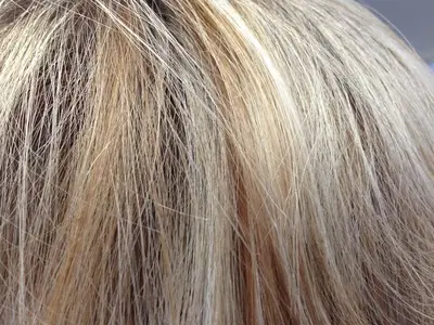 Shear Thing Salon