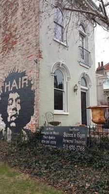 Swayne On Main