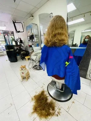Business Photo