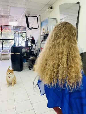 Business Photo