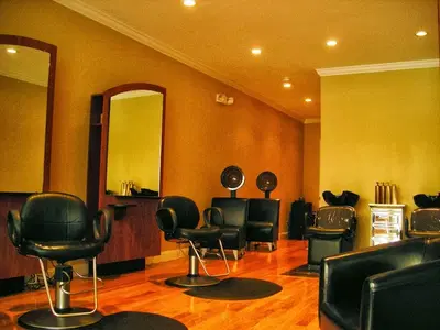 Hollywood Hair Inc