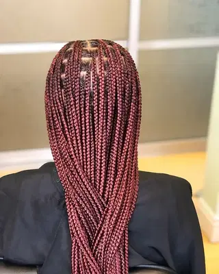 Braids by Ticia