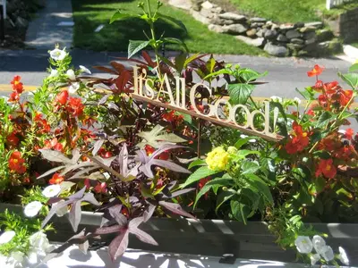 DMS salon...an organic salon