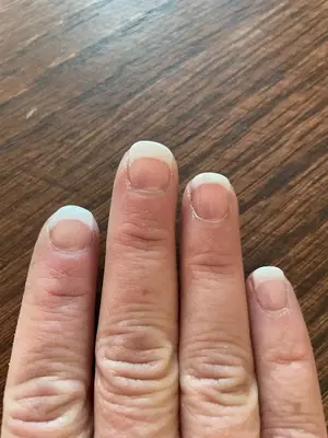 Angey's Tangles