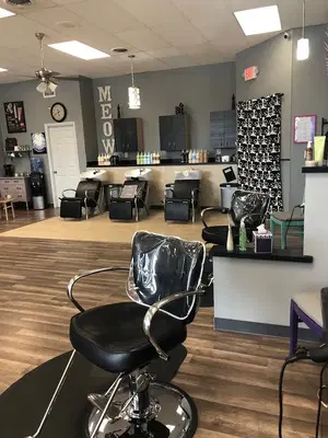 Salon Cattitude