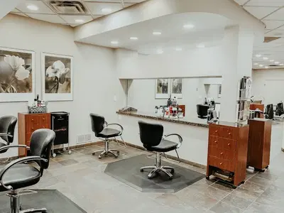 V Salon
