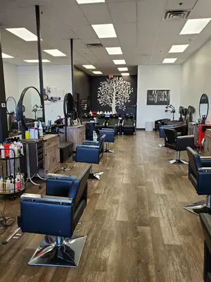 Shear Karma Hair Gallery
