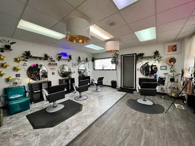 Lady and the Beard Salon