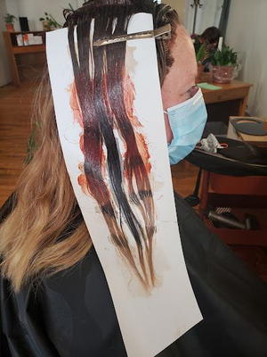 Wildflower Salon