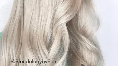 Blondology By Erin