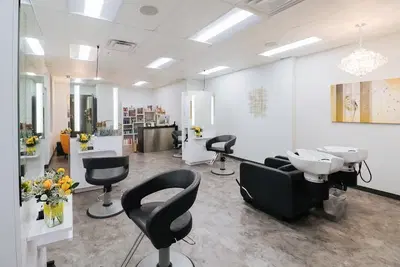 Salon Ciry