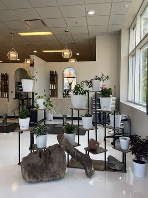 Salon 308