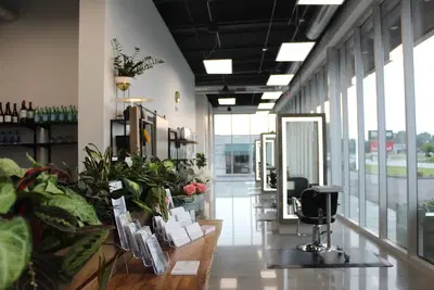 David Wenzel Salon