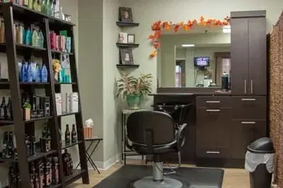 Spruced Up Salon